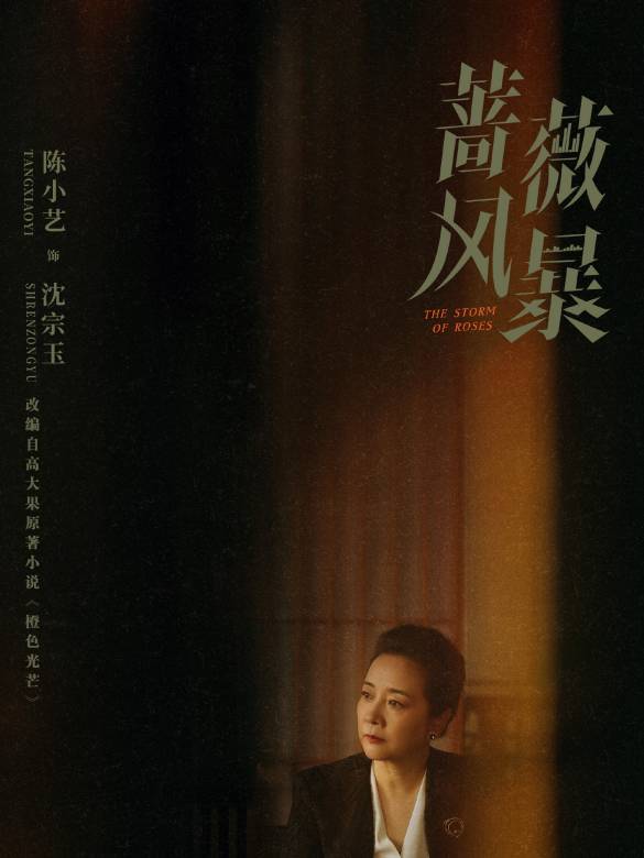 薔薇風暴(2024年惠楷棟執導的職場劇)