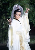 浣花洗劍錄(2007年謝霆鋒，喬振宇主演電視劇)