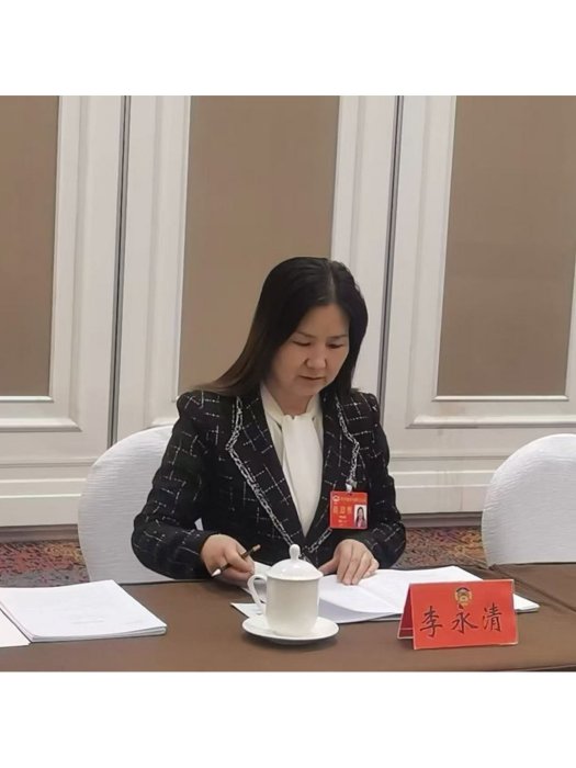 李永清(省級鄉村工匠名師) 李永清(省級鄉村工匠名師)