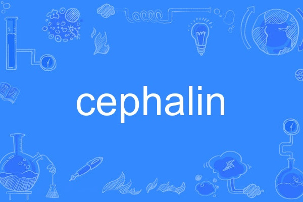 cephalin cephalin