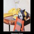 Sleeping Fires(Gissing, George著圖書) Sleeping Fires(Gissing, George著圖書)
