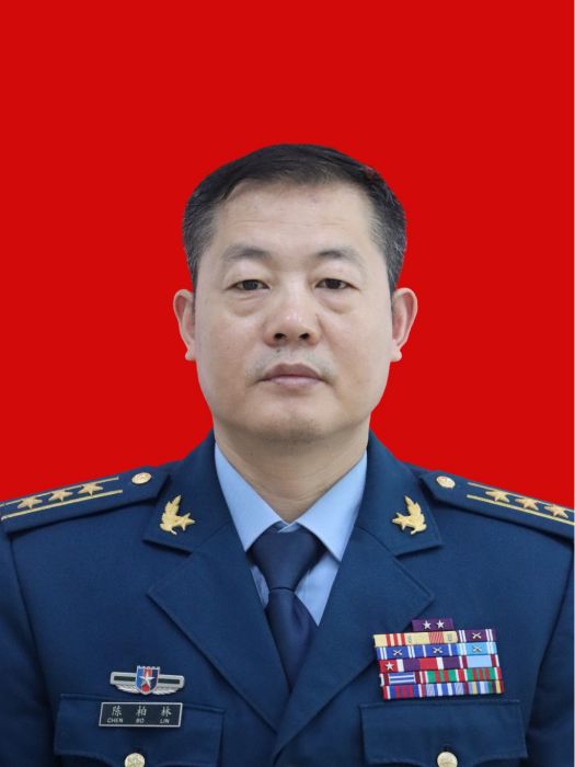 陳柏林(湖南省衡陽市石鼓區委常委) 陳柏林(湖南省衡陽市石鼓區委常委)