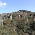山王坪 山王坪