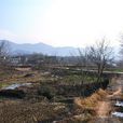 新樹村(四川省重慶市武隆縣黃鶯鄉新樹村) 新樹村(四川省重慶市武隆縣黃鶯鄉新樹村)