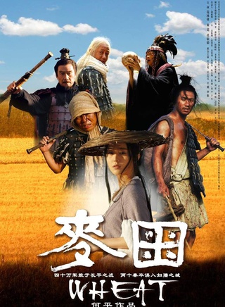 王璇(中國大陸女演員)