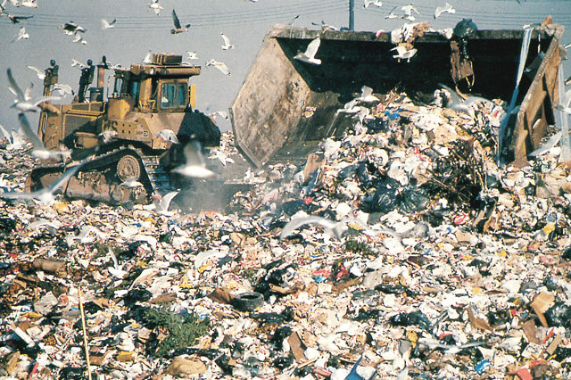 固體廢物污染(固體廢棄物污染)