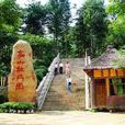 洛陽名園