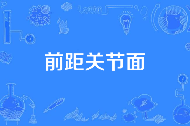 前距關節面 前距關節面