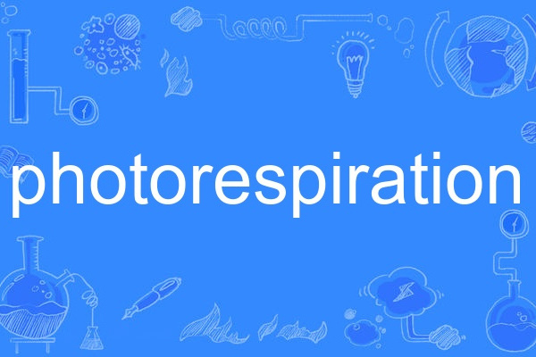 photorespiration photorespiration