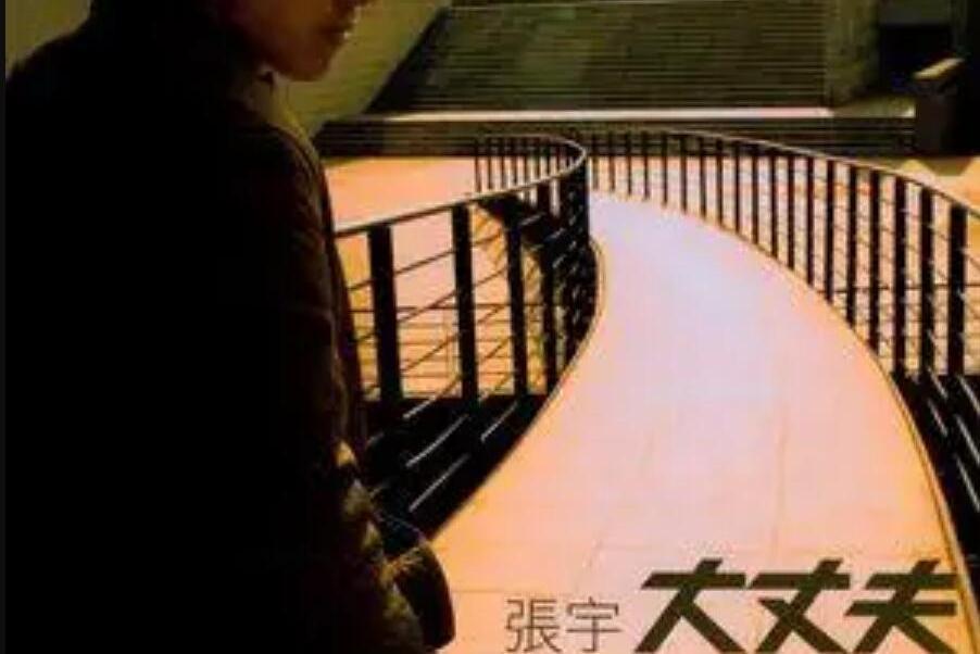 大丈夫(張宇《大丈夫》專輯中的歌曲) 大丈夫(張宇《大丈夫》專輯中的歌曲)