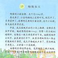 觸摸春天 觸摸春天