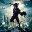 黑豹(Black Panther(美國瑞恩·庫格勒執導的電影)) 黑豹(Black Panther(美國瑞恩·庫格勒執導的電影))