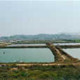 漁業基地 漁業基地