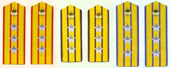 陸海空軍上校常服肩章(1988-2007)