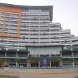 瑪莎大學
