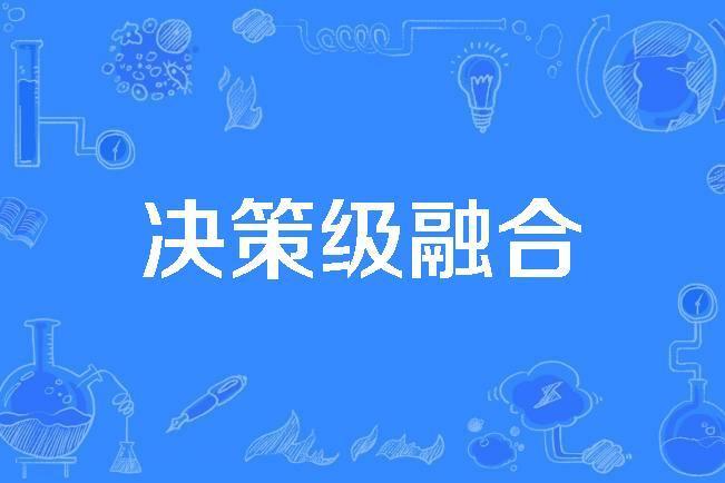 決策級融合 決策級融合