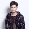 陳炳強 陳炳強