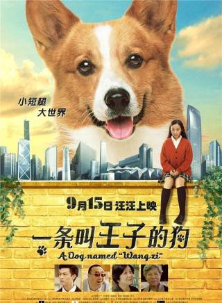 羅蘭(中國香港女演員) 羅蘭(中國香港女演員)