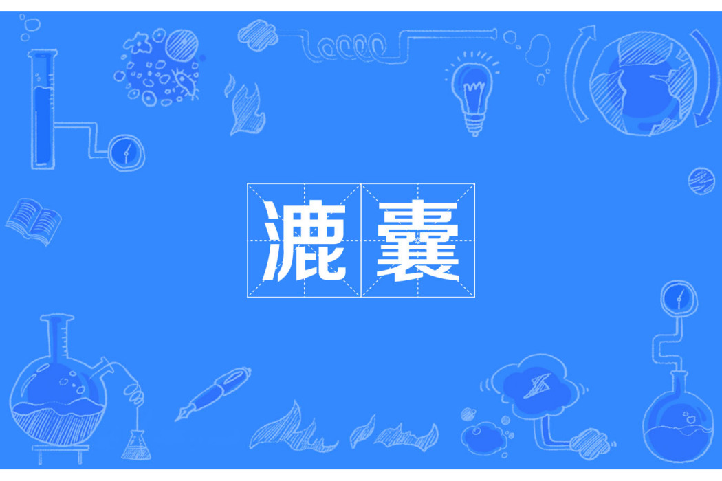 漉囊 漉囊