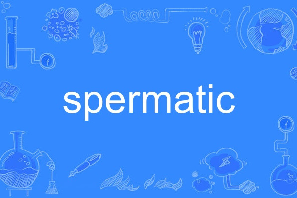 spermatic spermatic