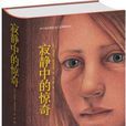 寂靜中的驚奇(小說) 寂靜中的驚奇(小說)
