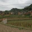 中茂龍村 中茂龍村