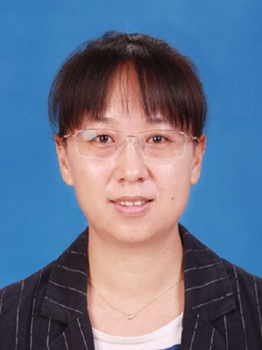 張妍(山東省德州市平原縣委常委、政法委書記) 張妍(山東省德州市平原縣委常委、政法委書記)
