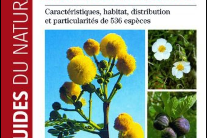 Guide de la flore méditerranéenne Guide de la flore méditerranéenne