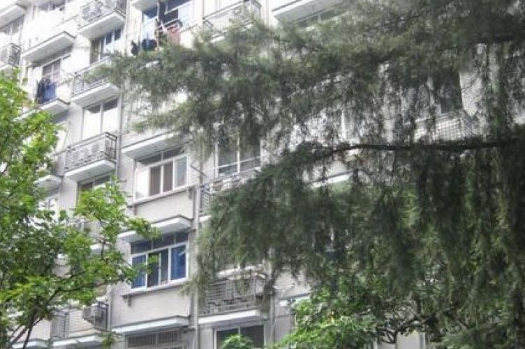 花園西村 花園西村