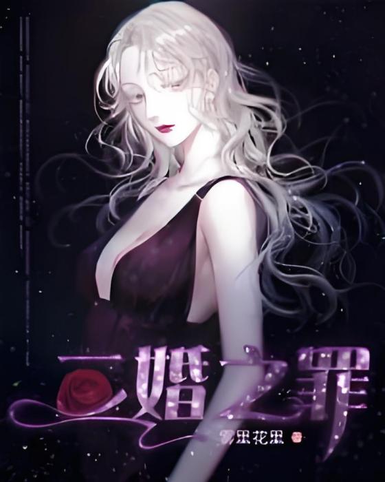 二婚之罪 二婚之罪