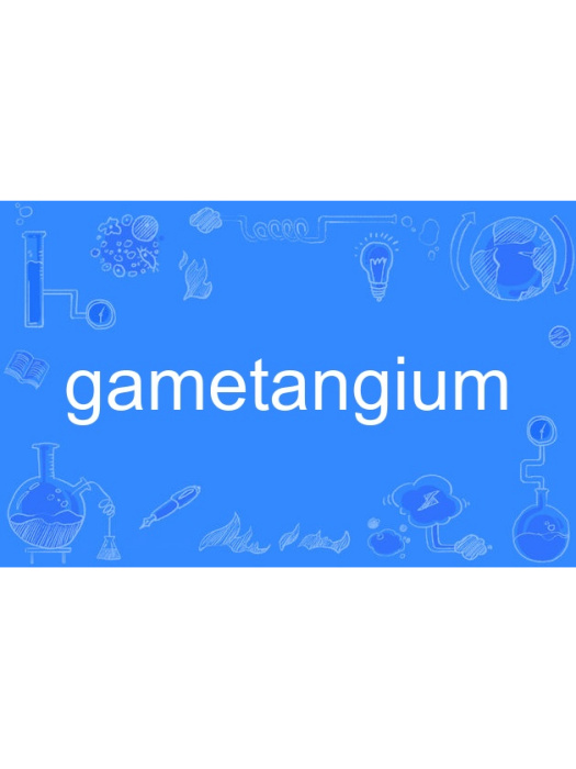gametangium gametangium
