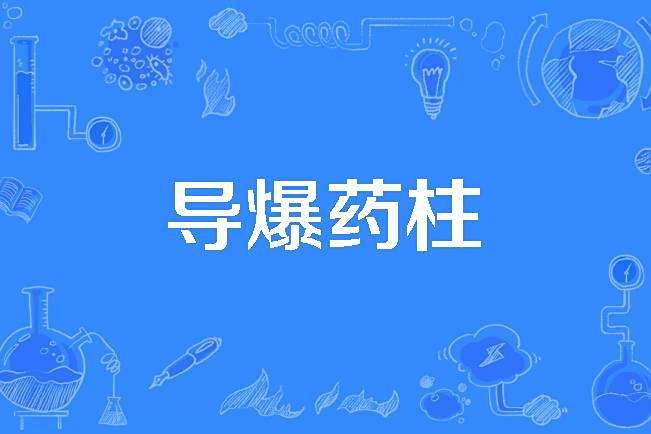 導爆藥柱 導爆藥柱