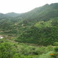 門山村(湖北省黃岡市黃梅縣大河鎮門山村) 門山村(湖北省黃岡市黃梅縣大河鎮門山村)