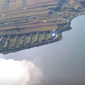 陶清河水庫