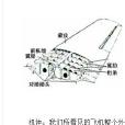 結構疲勞 結構疲勞