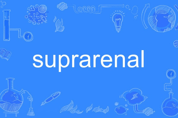 suprarenal