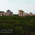山邊村(長樂漳港街道下轄村) 山邊村(長樂漳港街道下轄村)