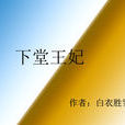 下堂王妃 下堂王妃
