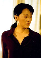 海棠依舊(2004年黃健中執導電視劇)