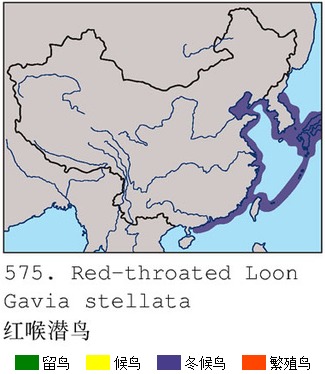 紅喉潛鳥中國分布圖
