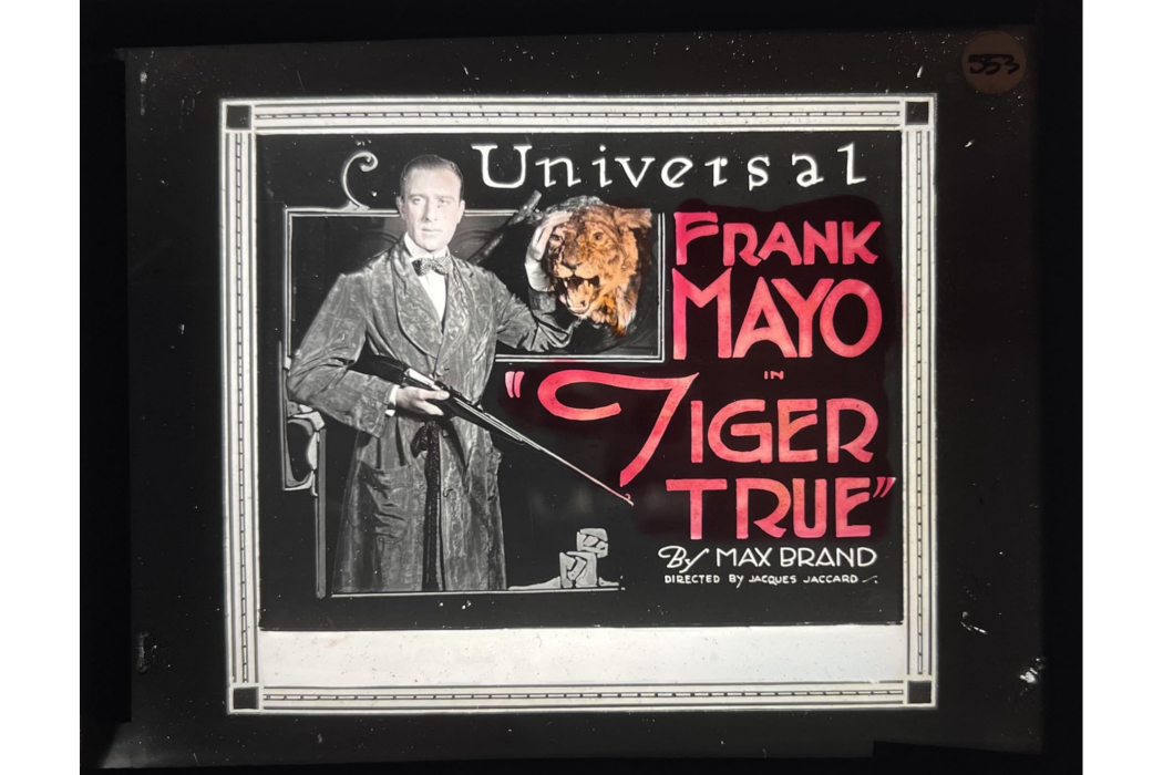 Tiger True Tiger True