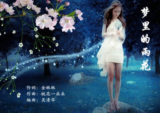 夢裡的雨花 夢裡的雨花