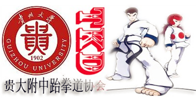 貴州大學附中跆拳道協會