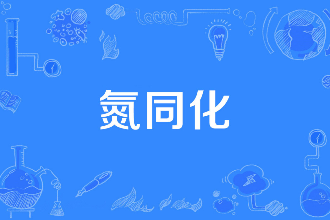 氮同化 氮同化