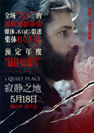 寂靜之地(2018年約翰·卡拉辛斯基執導恐怖電影)