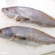 米魚