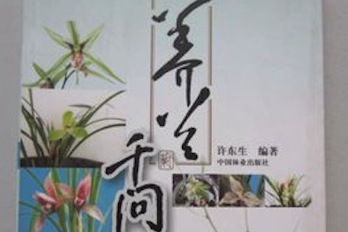 養蘭千問 養蘭千問