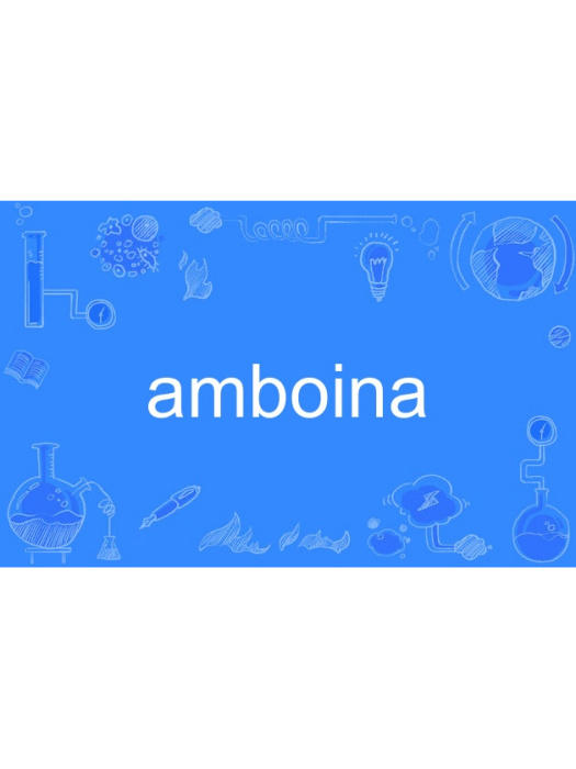 amboina amboina