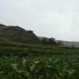 關索廟村 關索廟村