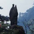 仙人指路(古代綁技) 仙人指路(古代綁技)